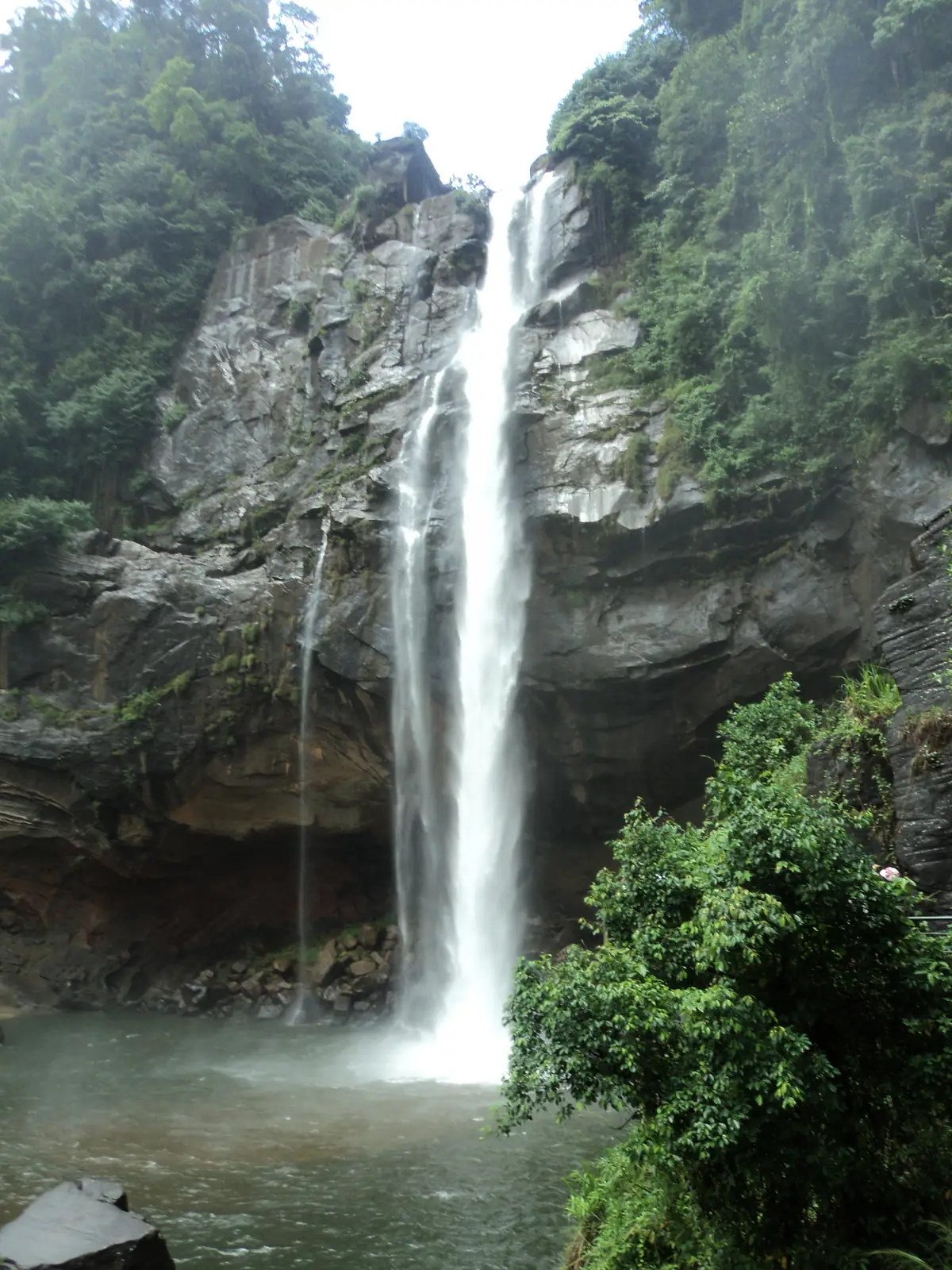 Aberdeen Falls plunging into its jungle pool near Ginigathhena, Sri Lanka
