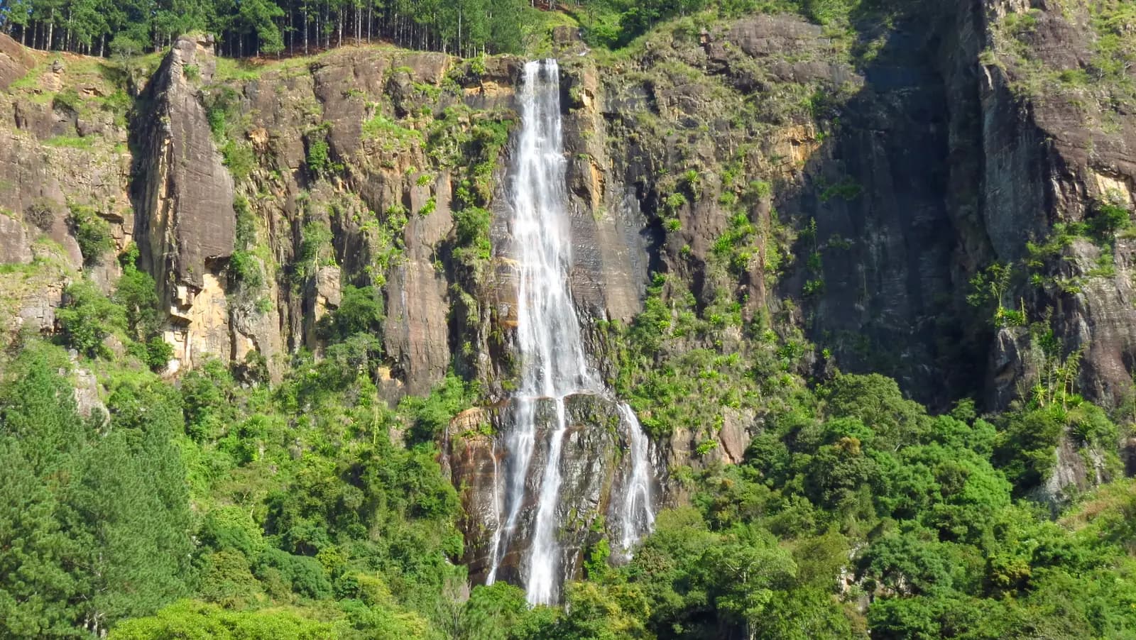 Bambarakanda Falls, Sri Lanka's tallest waterfall, dropping 263 metres