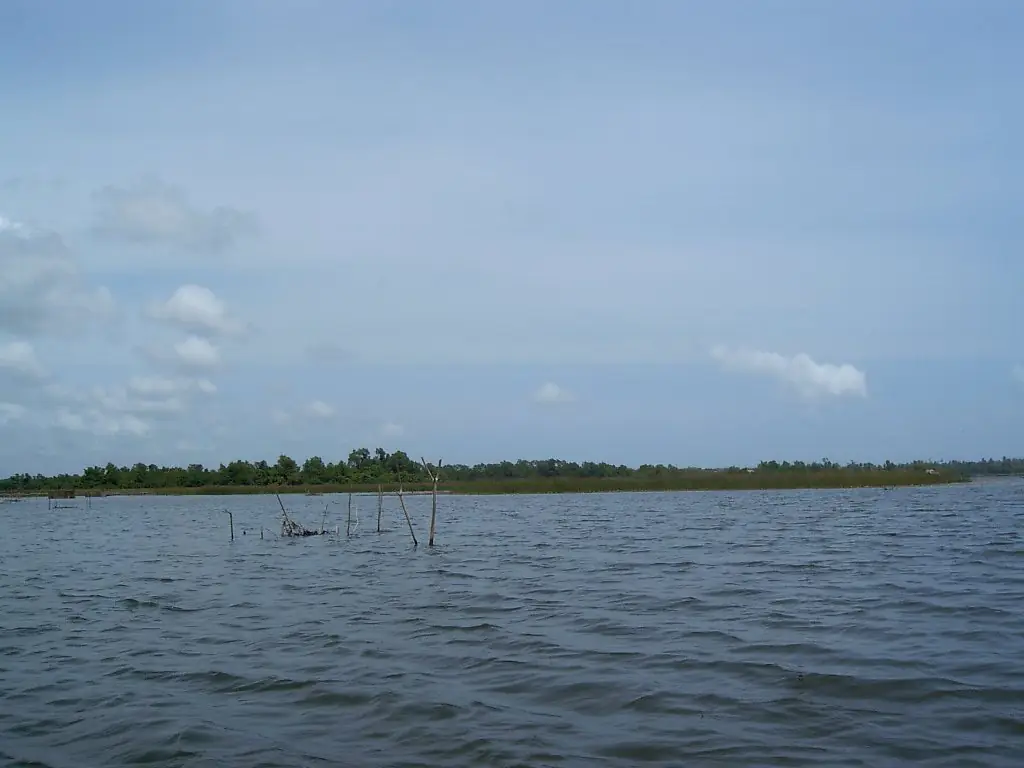 Calm waters of Bolgoda Lake near Colombo, Sri Lanka