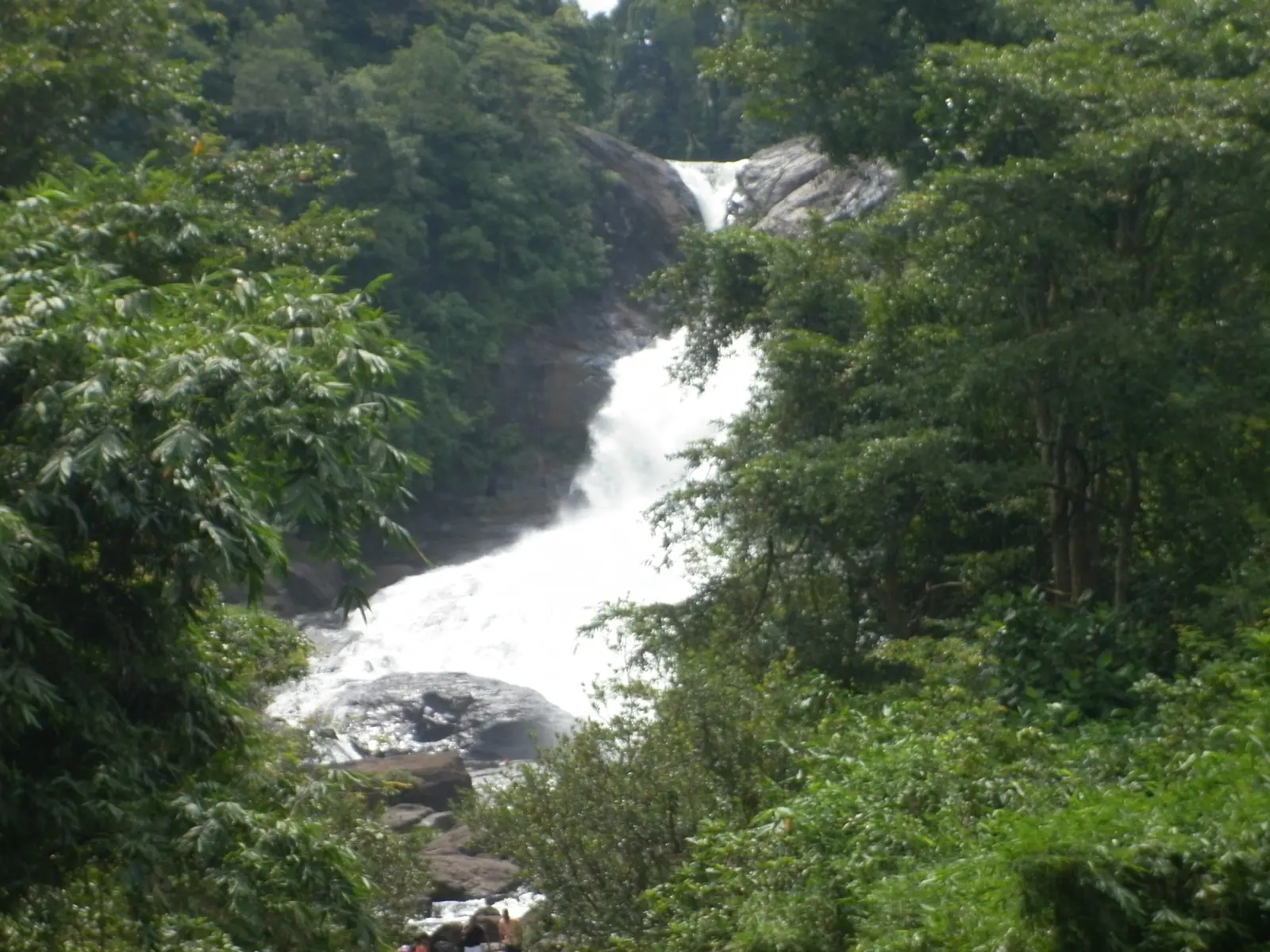 Bo-leaf shaped Bopath Ella waterfall at Kuruwita, Sri Lanka