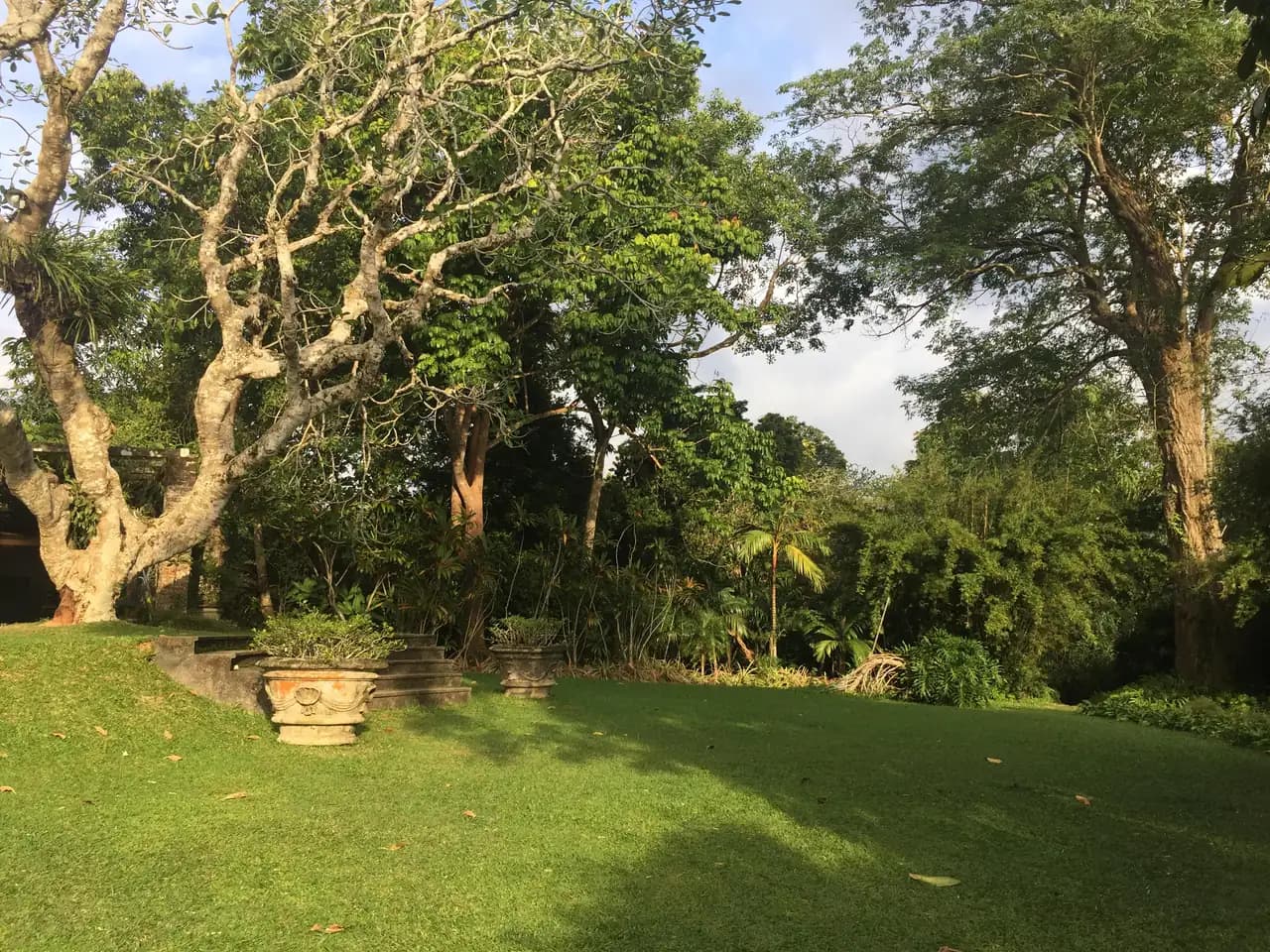 Garden terraces of Brief Garden, Bevis Bawa's estate, Sri Lanka