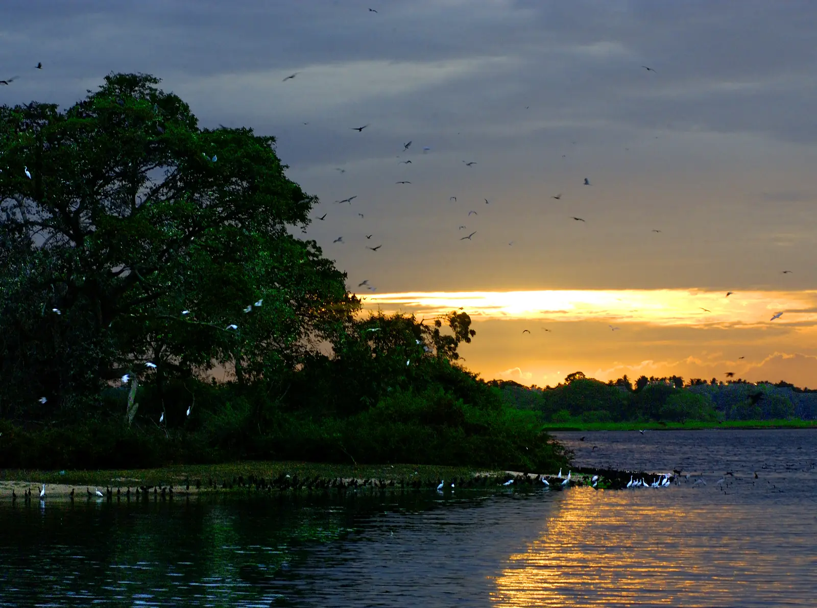 Wetlands and scrub of Bundala National Park near Kirinda, Sri Lanka