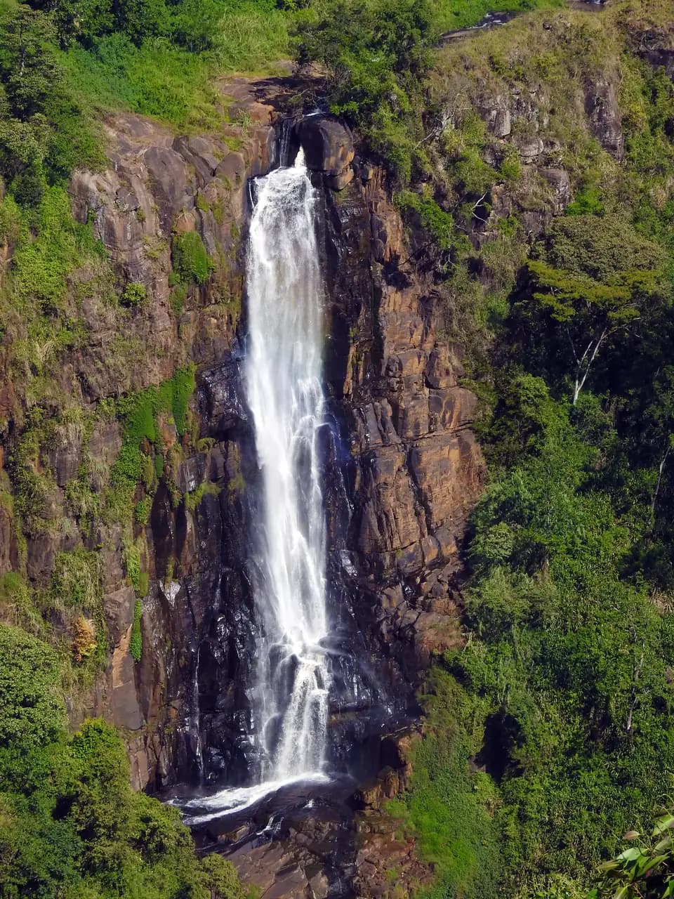 Devon Falls dropping 97 metres through tea country near Talawakele, Sri Lanka