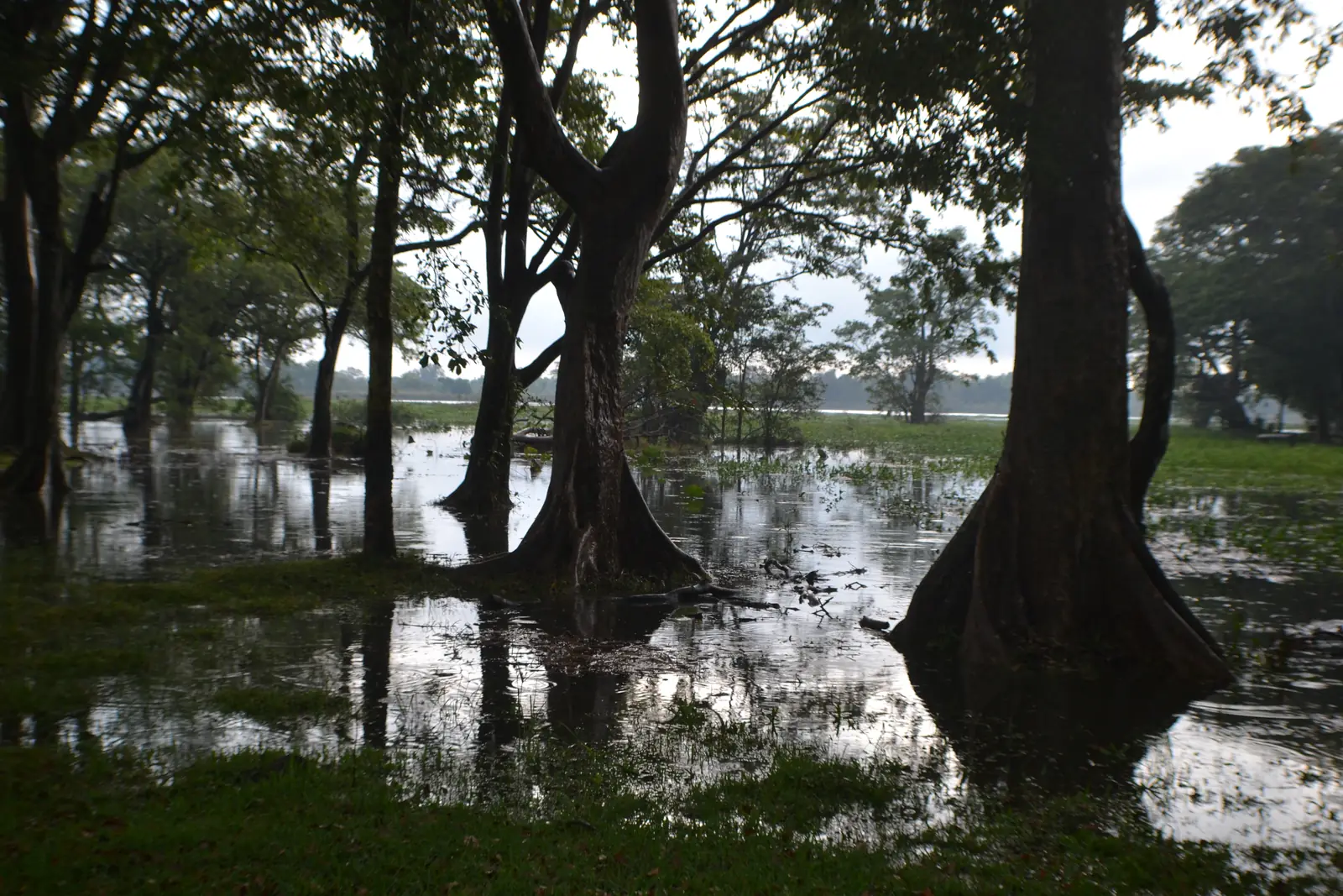 Habarana Lake in Sri Lanka's Cultural Triangle
