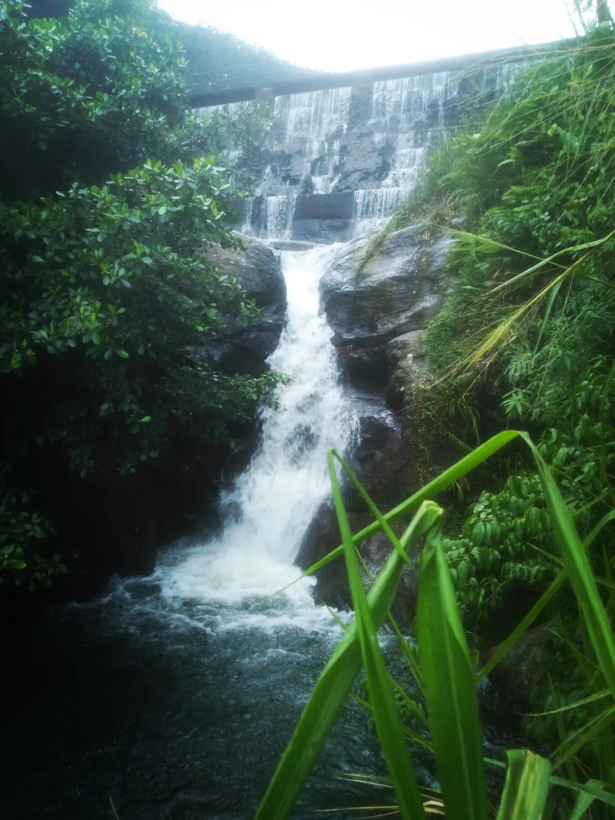 Hunnas Falls pouring down the rock face near Elkaduwa, Sri Lanka