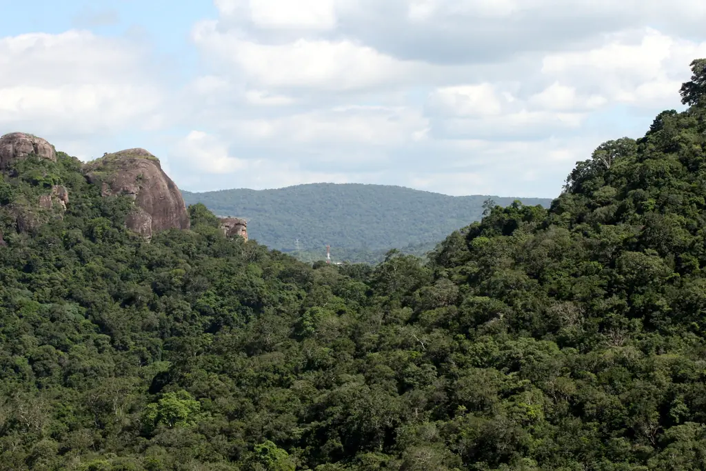 Dark forest pool of Kaludiya Pokuna near Dambulla, Sri Lanka