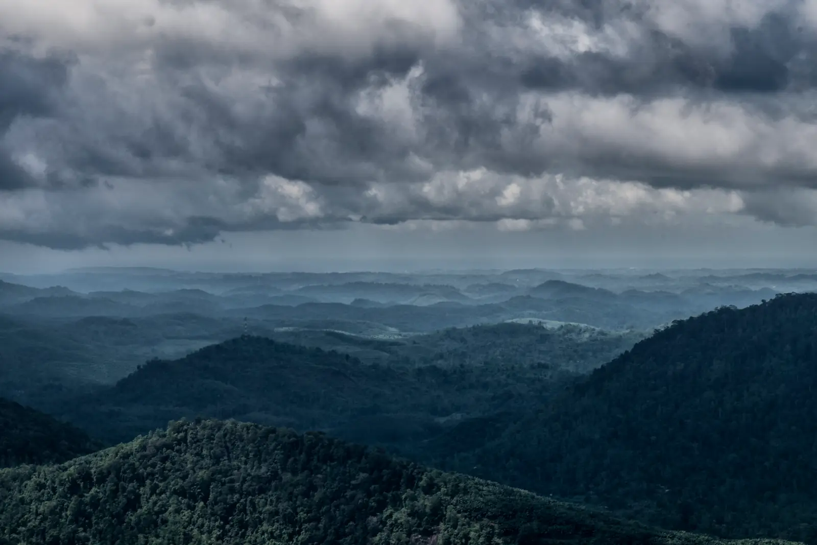 Rain falling over dense Kanneliya rainforest, Sri Lanka
