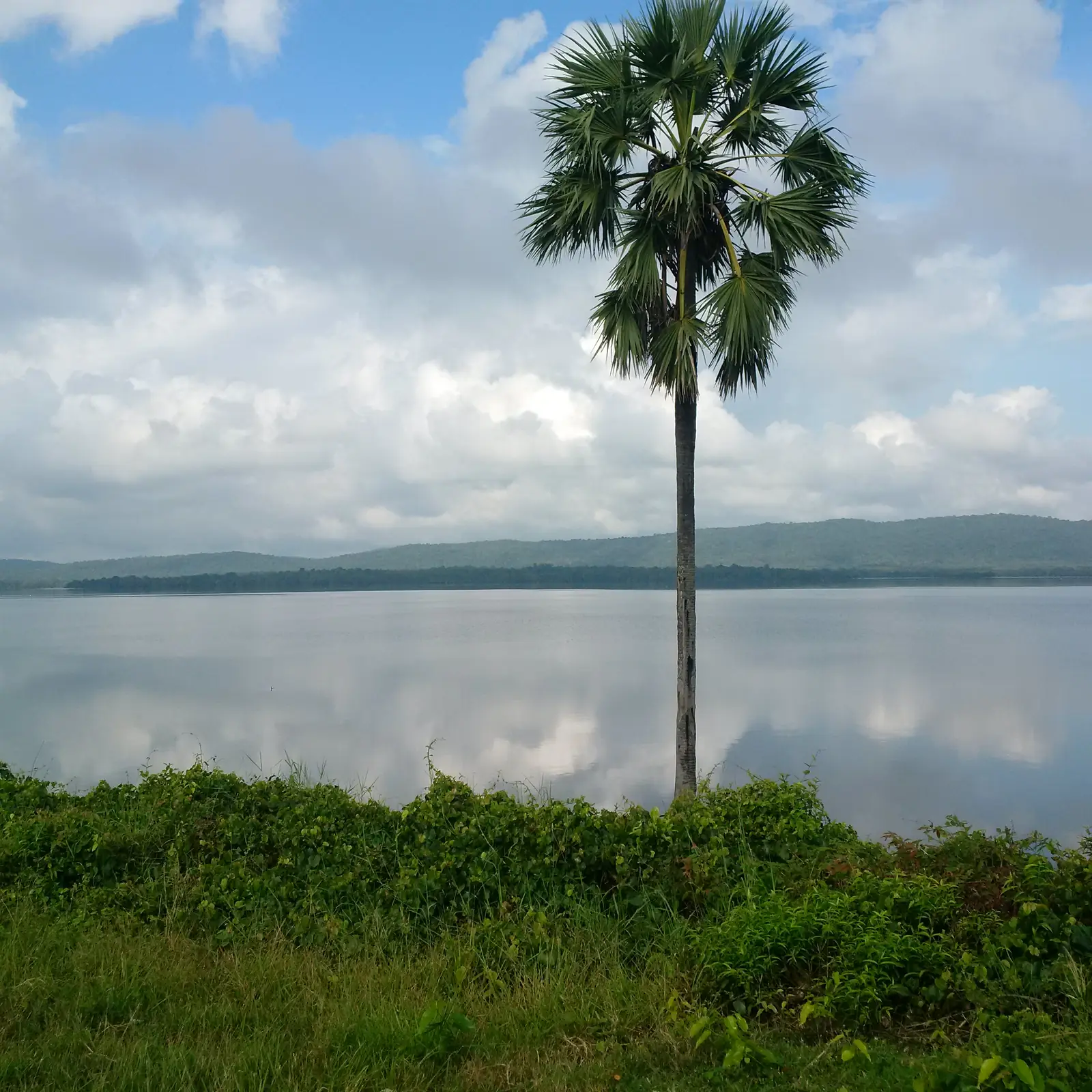 Kantale Lake, an ancient irrigation tank in eastern Sri Lanka