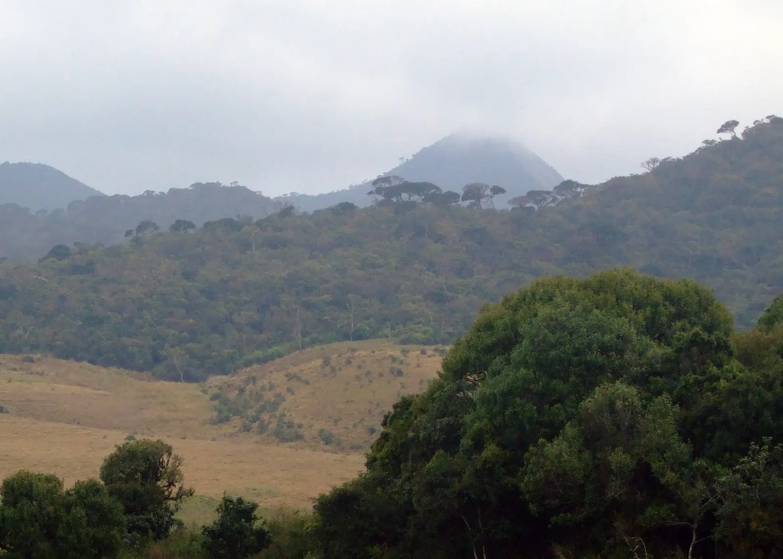 Kirigalpotta peak across the grasslands of Horton Plains, Sri Lanka