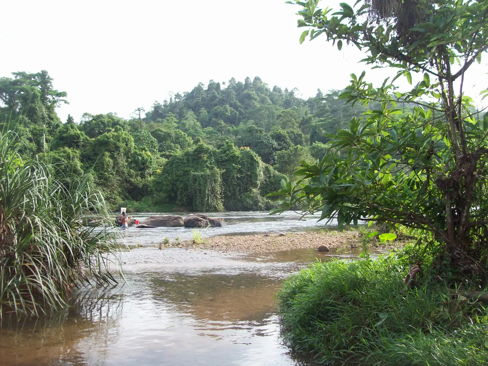 Kelani River flowing through the rainforest at Kitulgala, Sri Lanka