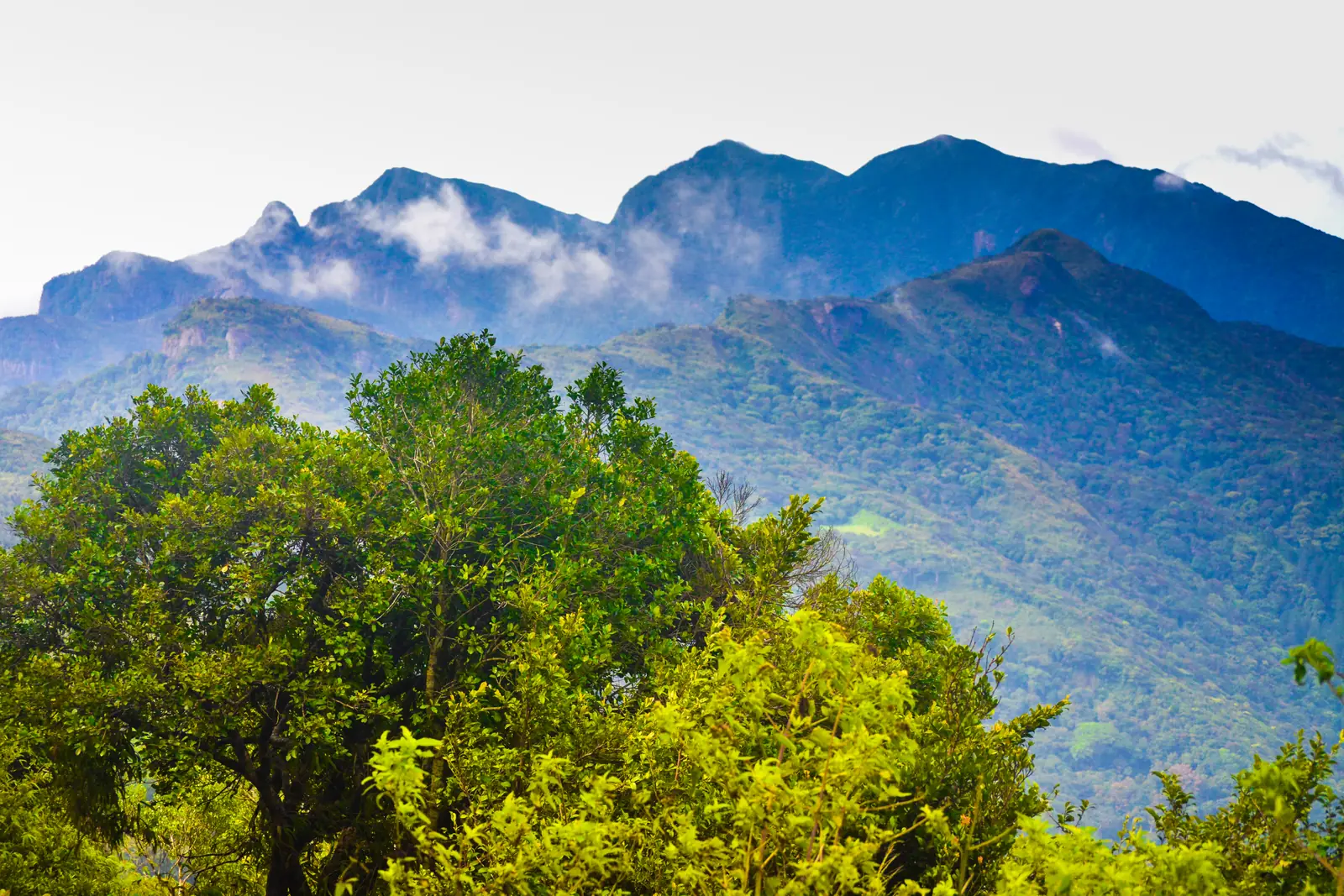 Peaks of the Knuckles Mountain Range in Matale, Sri Lanka