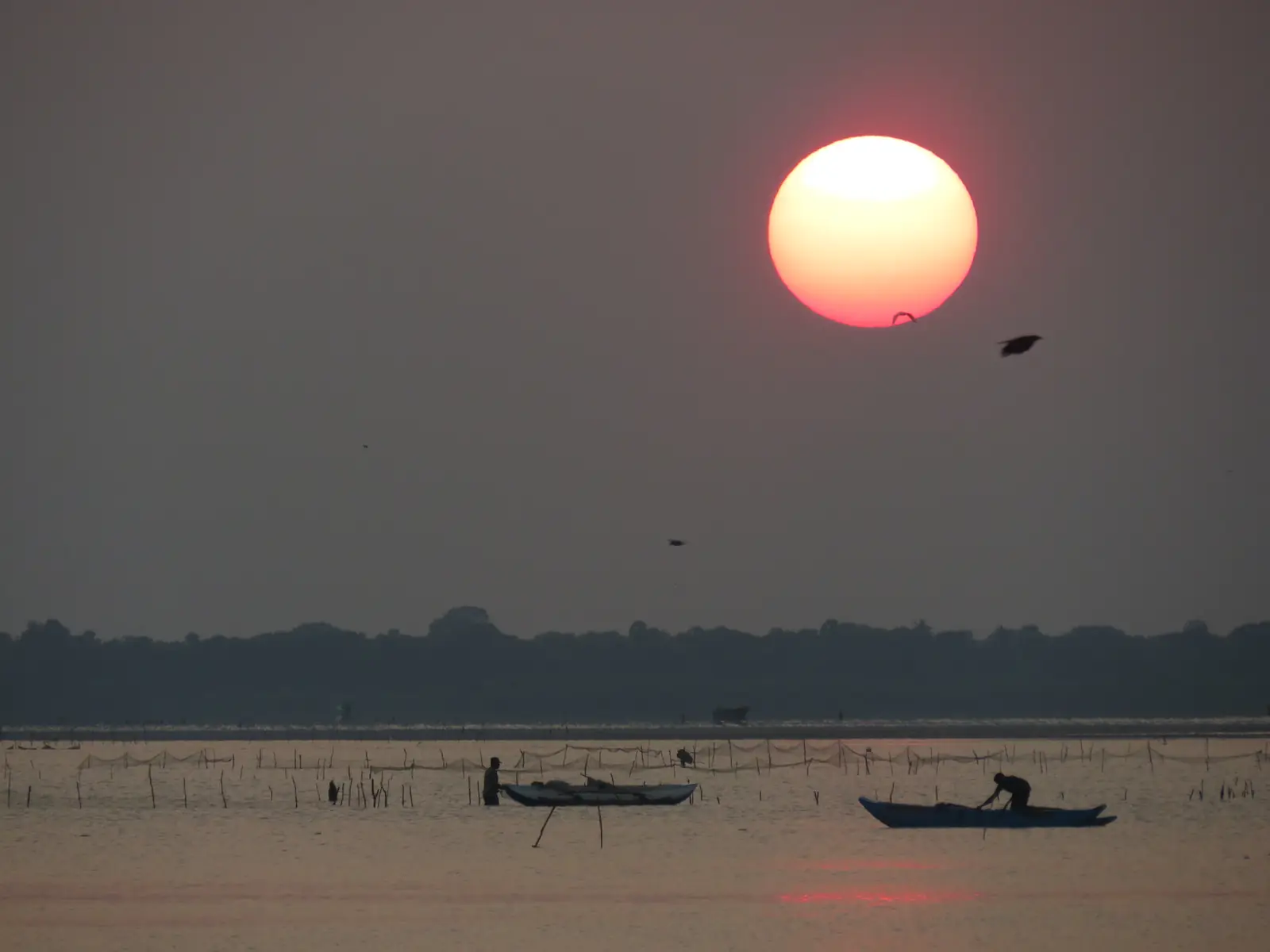 Sunset over the Kokkilai lagoon bird sanctuary, Sri Lanka