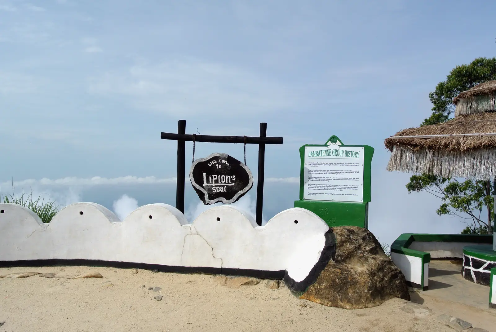 Tea fields surrounding Lipton's Seat viewpoint above Haputale, Sri Lanka