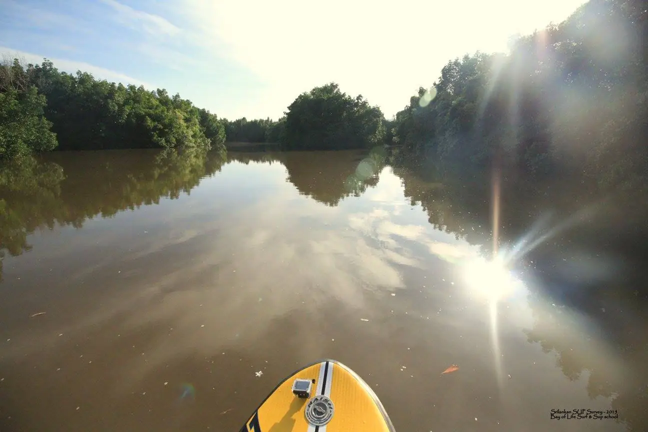 Paddling the calm waters of the Madu Ganga estuary at Balapitiya, Sri Lanka