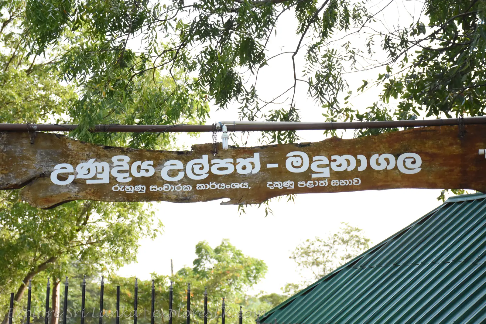 Bathing pools of the Madunagala hot springs in southern Sri Lanka
