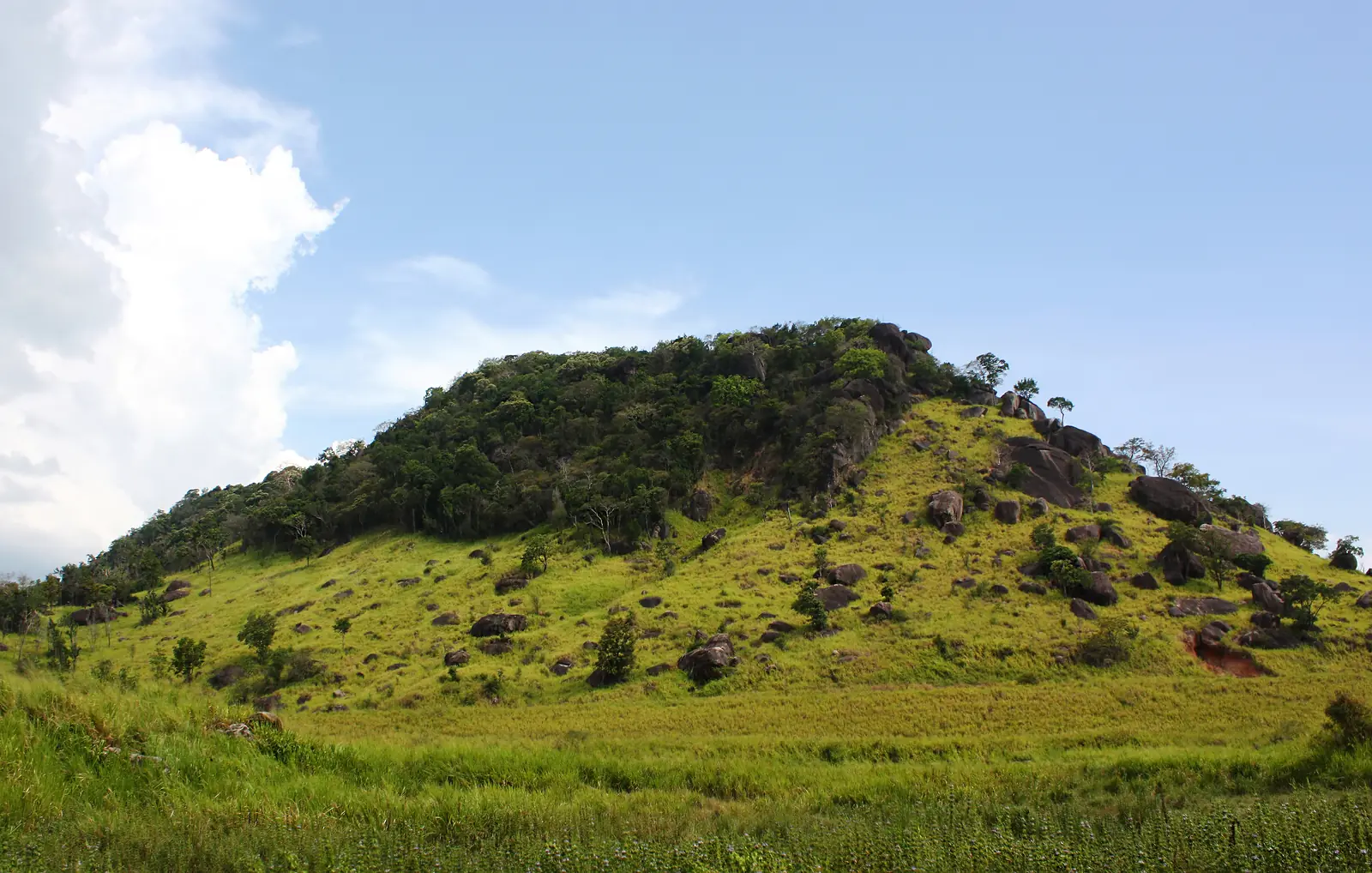 Rocky hill rising above the forest at Maduru Oya National Park, Sri Lanka