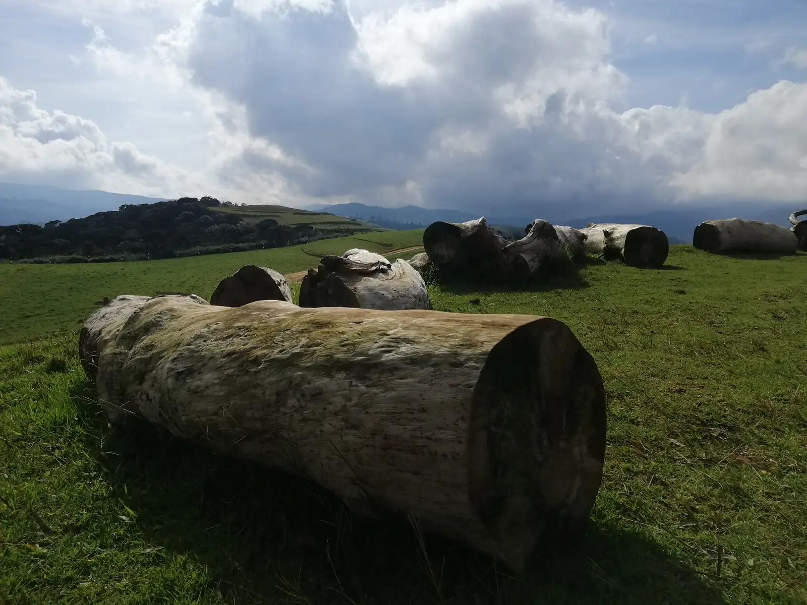 Open grasslands of Moon Plains near Nuwara Eliya, Sri Lanka