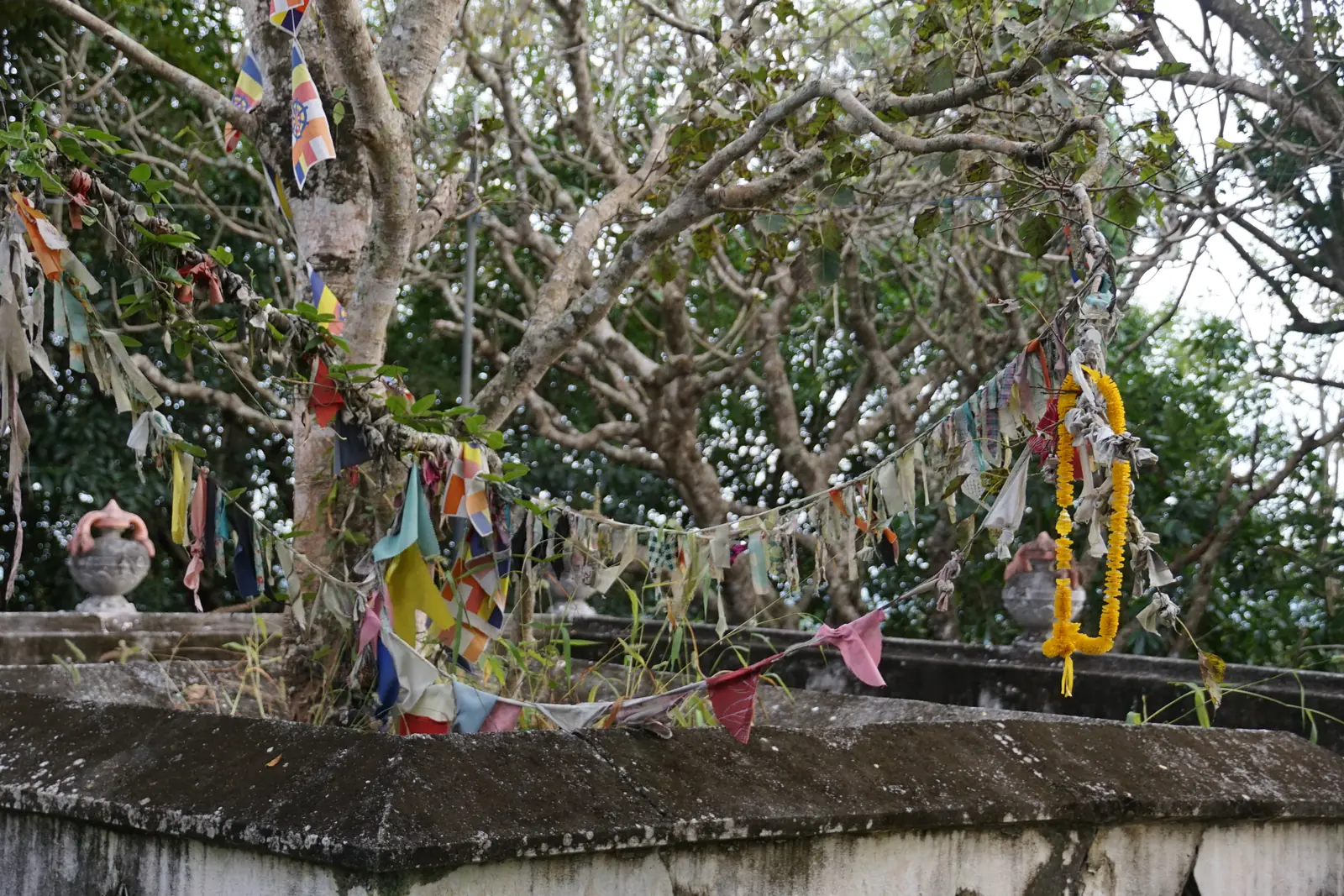 Mulkirigala Rock Temple monastery built into a rock outcrop near Tangalle, Sri Lanka