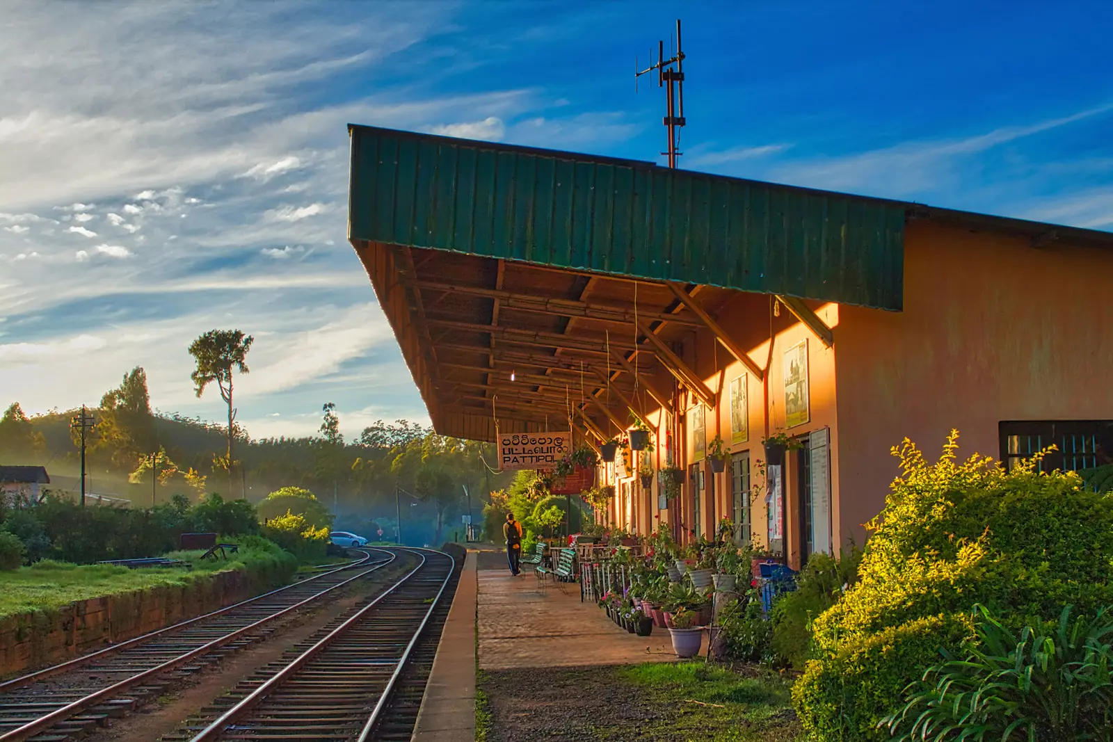 Pattipola, the highest railway station in Sri Lanka