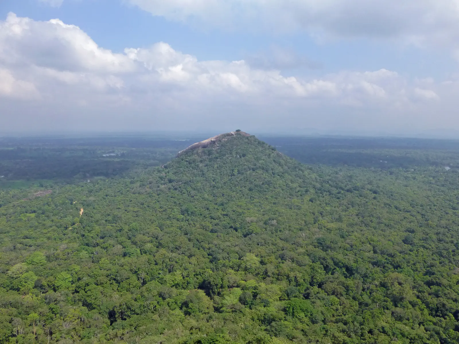 Pidurangala Rock rising from the jungle near Sigiriya, Sri Lanka