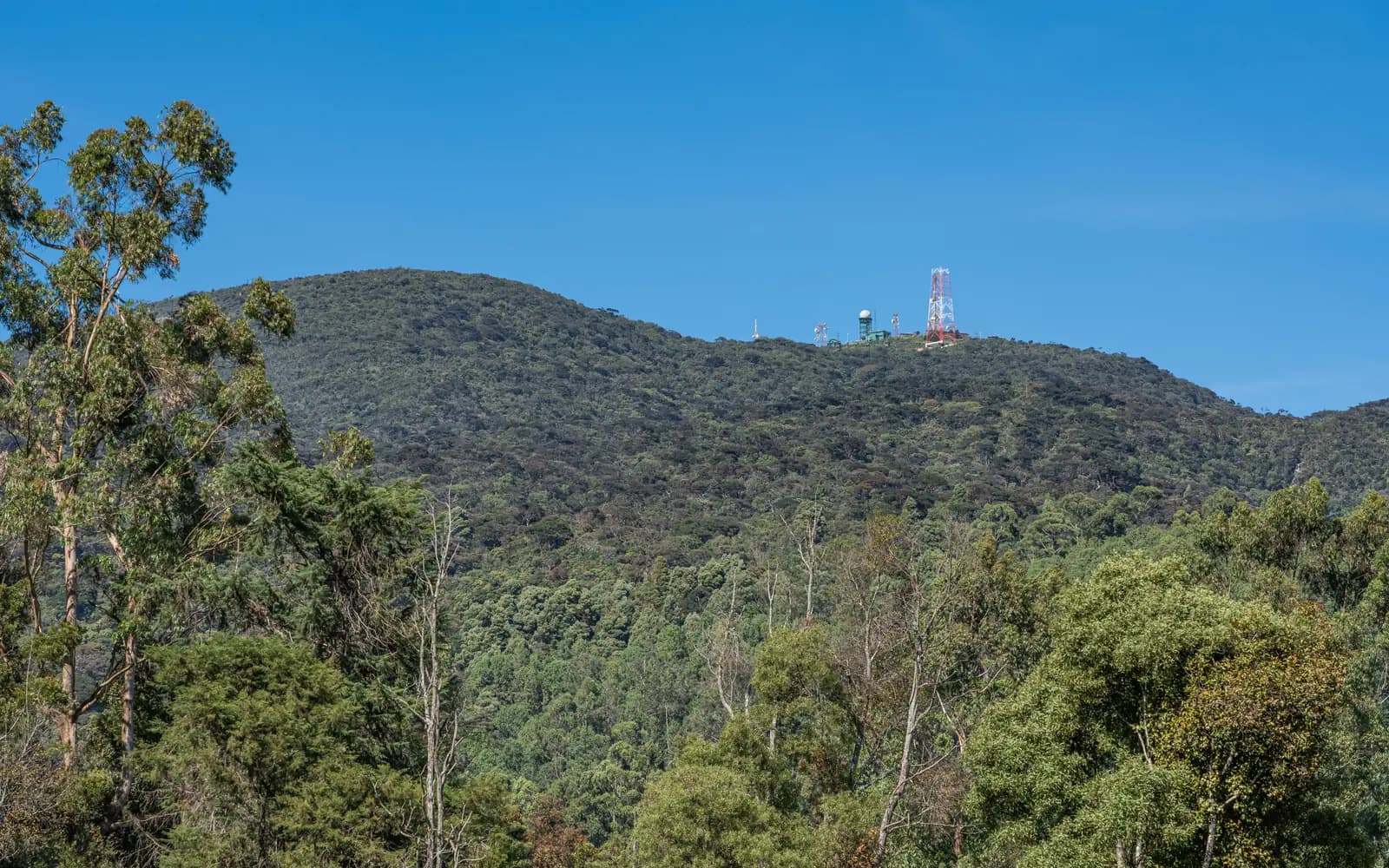 Pidurutalagala (Mount Pedro) rising above Nuwara Eliya, Sri Lanka