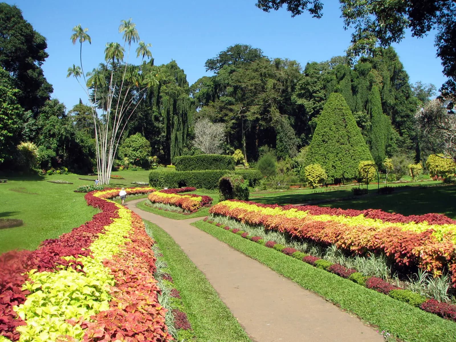 Royal Botanic Gardens at Peradeniya near Kandy, Sri Lanka