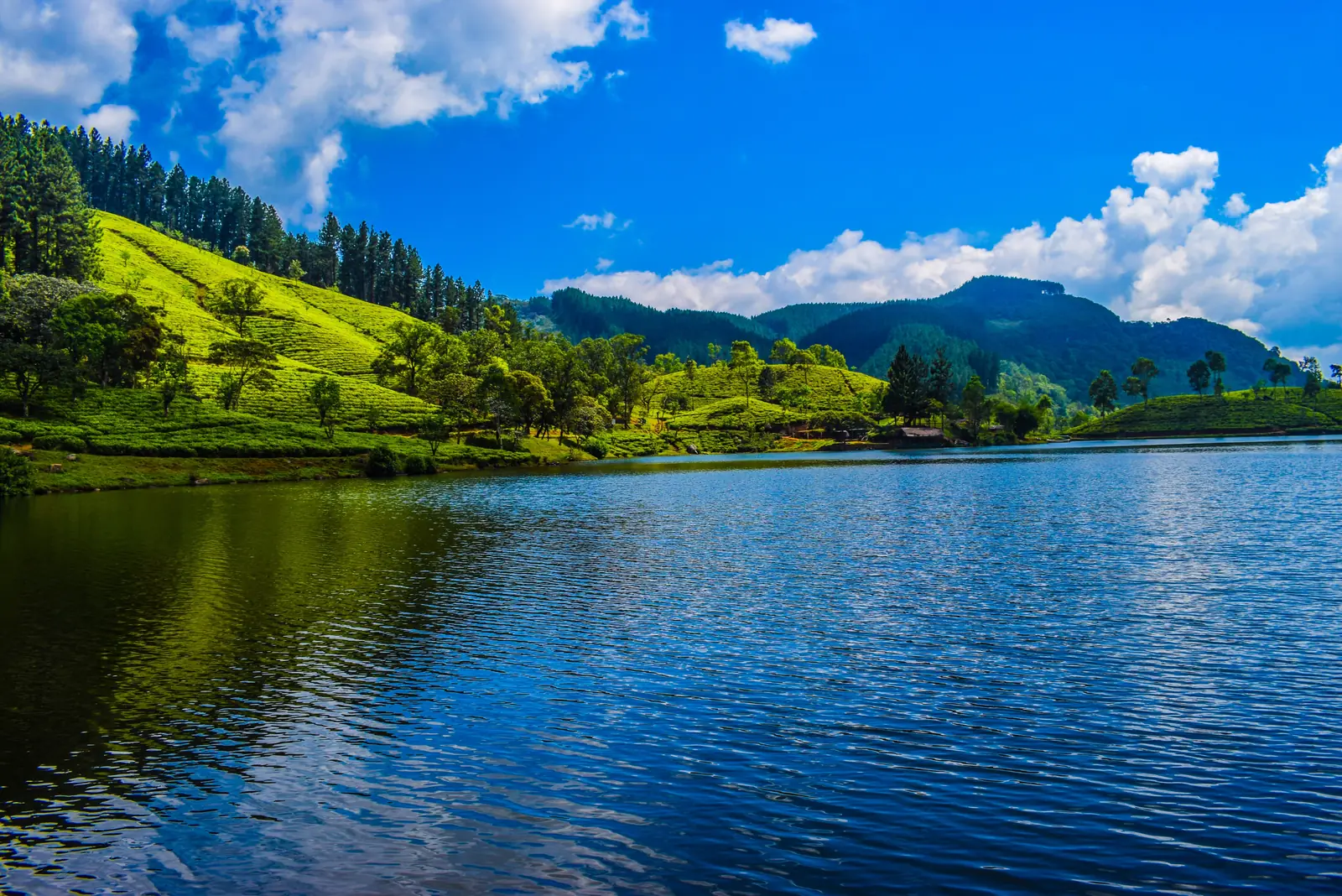 Turquoise water of Sembuwatta Lake at Elkaduwa, Matale, Sri Lanka