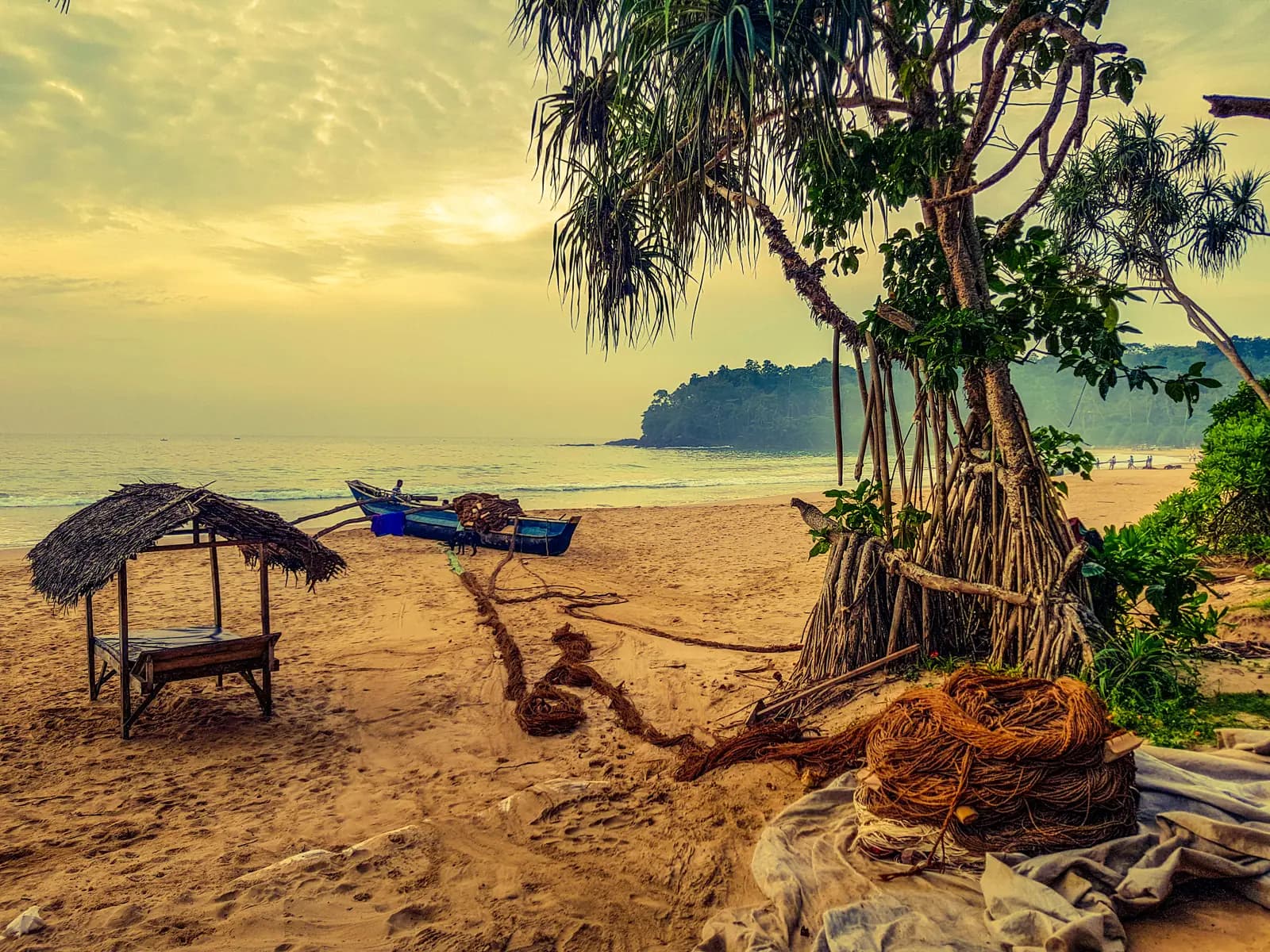 Quiet palm-backed crescent of Talalla Beach near Matara, Sri Lanka