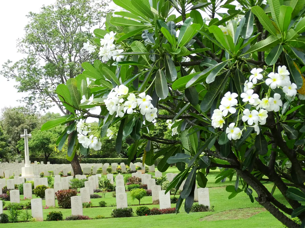 White headstones of Trincomalee War Cemetery, Sri Lanka