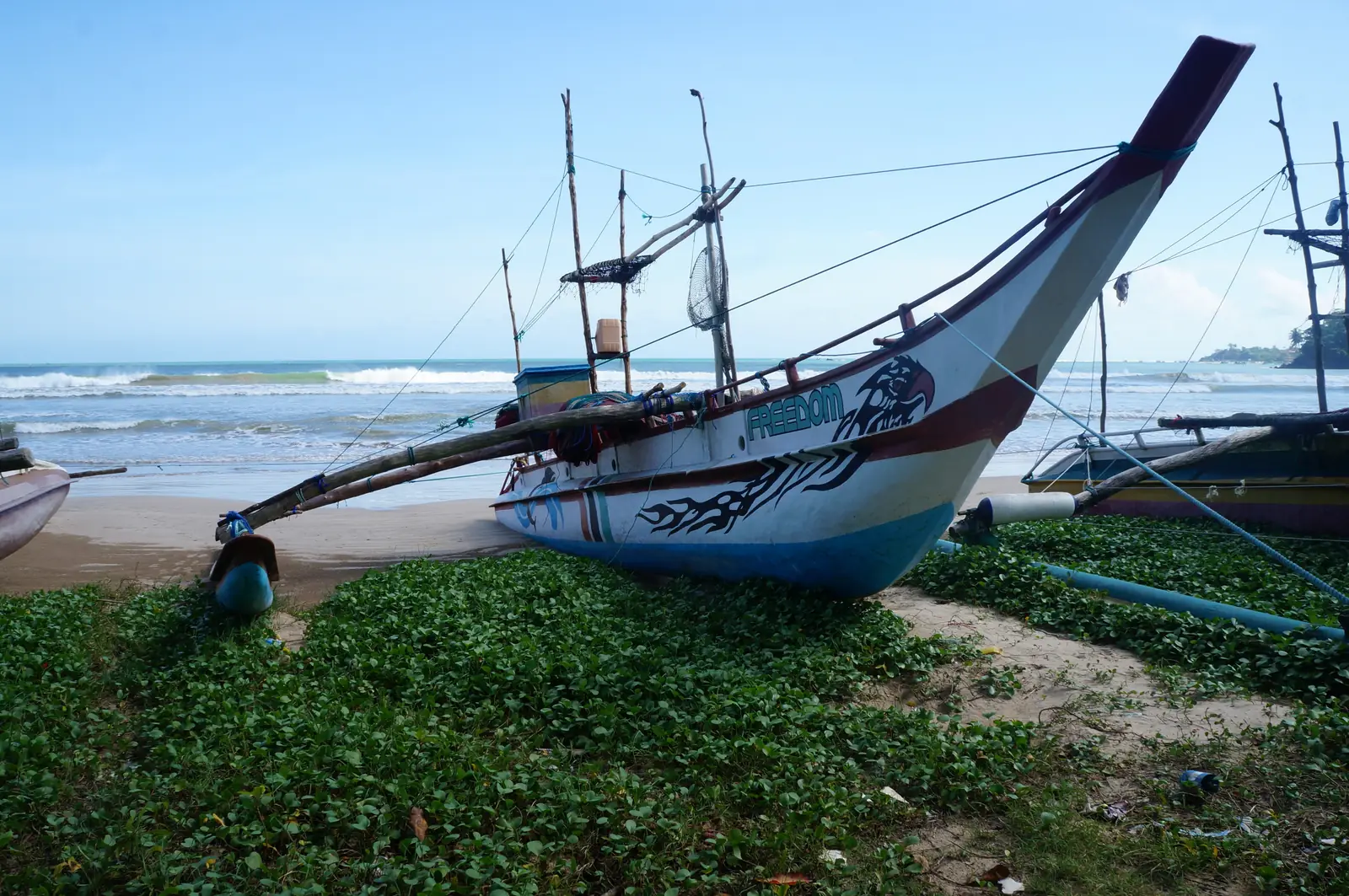 Weligama Bay beach with palm trees and fishing boats, Sri Lanka